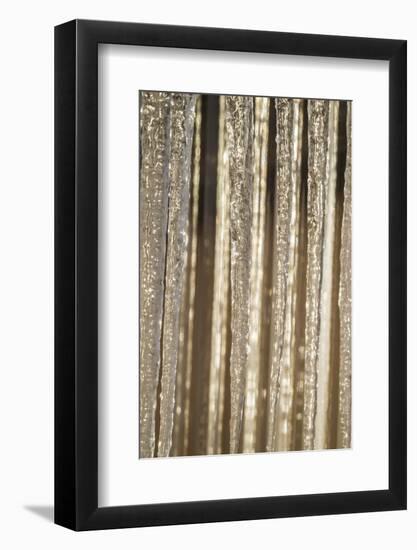 USA, Alaska, Fairbanks. Sun reflects on icicles.-Jaynes Gallery-Framed Photographic Print