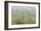 USA, Alaska. Fireweed and Upper Willow Creek.-Jaynes Gallery-Framed Photographic Print