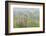 USA, Alaska. Fireweed and Upper Willow Creek.-Jaynes Gallery-Framed Photographic Print