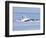 USA, Alaska, Freshwater Bay. Humpback whales bubble net feeding.-Don Paulson-Framed Photographic Print