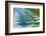 USA, Alaska, Glacier Bay Abstract of Boat Wake in Dundas Bay-Jaynes Gallery-Framed Photographic Print