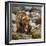 USA, Alaska, Glacier Bay National Park. Brown Bear on Beach-Jaynes Gallery-Framed Photographic Print