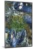 USA, Alaska. Green moon glow anemone and blue mussels in a tide pool.-Margaret Gaines-Mounted Photographic Print