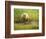 USA, Alaska, Grizzly Bear Cub-George Theodore-Framed Photographic Print