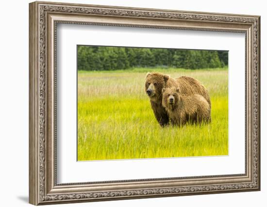 USA, Alaska, Grizzly Bear with Cub-George Theodore-Framed Photographic Print