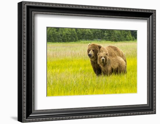 USA, Alaska, Grizzly Bear with Cub-George Theodore-Framed Photographic Print