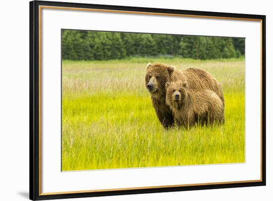 USA, Alaska, Grizzly Bear with Cub-George Theodore-Framed Premium Photographic Print