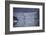 USA, Alaska, Inside Passage, Glacier-John Ford-Framed Photographic Print