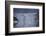 USA, Alaska, Inside Passage, Glacier-John Ford-Framed Photographic Print