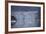 USA, Alaska, Inside Passage, Glacier-John Ford-Framed Photographic Print