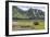 USA, Alaska, Katmai National Park, Hallo Bay. Coastal Brown Bear-Frank Zurey-Framed Premium Photographic Print