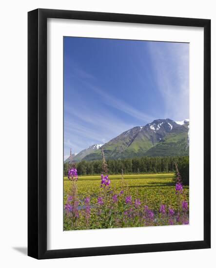 USA, Alaska, Kenai Peninsula. Mountain and lake landscape.-Jaynes Gallery-Framed Photographic Print