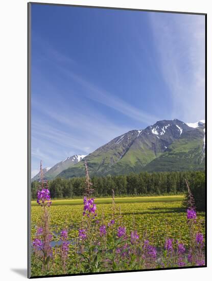 USA, Alaska, Kenai Peninsula. Mountain and lake landscape.-Jaynes Gallery-Mounted Photographic Print