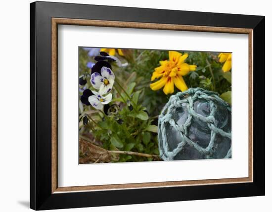 USA, Alaska, Ketchikan, Antique Japanese Fishing Floats-Savanah Stewart-Framed Photographic Print