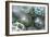 USA, Alaska, Ketchikan, Antique Japanese Glass Fishing Floats-Savanah Stewart-Framed Photographic Print