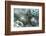 USA, Alaska, Ketchikan, Antique Japanese Glass Fishing Floats-Savanah Stewart-Framed Photographic Print