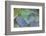 USA, Alaska, Ketchikan, Beach Glass-Savanah Stewart-Framed Photographic Print