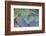 USA, Alaska, Ketchikan, Beach Glass-Savanah Stewart-Framed Photographic Print