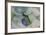 USA, Alaska, Ketchikan, Beach Glass-Savanah Stewart-Framed Photographic Print