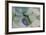 USA, Alaska, Ketchikan, Beach Glass-Savanah Stewart-Framed Photographic Print