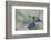 USA, Alaska, Ketchikan, Beach Glass-Savanah Stewart-Framed Photographic Print