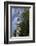 USA, Alaska, Ketchikan, Totem Bight State Historical Park-Savanah Stewart-Framed Photographic Print