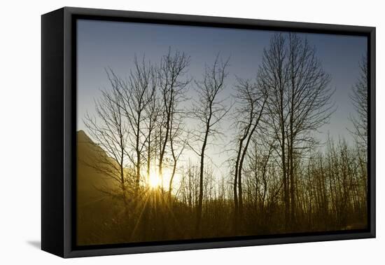 USA, Alaska, Knik River-Savanah Plank-Framed Premier Image Canvas