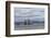 USA, Alaska, Kodiak, Chiniak Bay. Commercial fishing for salmon.-Frank Zurey-Framed Photographic Print