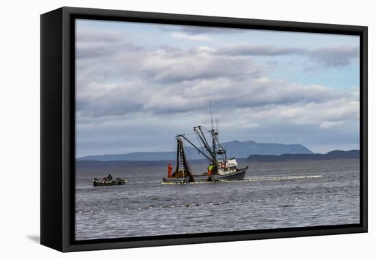 USA, Alaska, Kodiak, Chiniak Bay. Commercial fishing for salmon.-Frank Zurey-Framed Premier Image Canvas