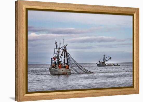 USA, Alaska, Kodiak, Chiniak Bay. Commercial fishing for salmon.-Frank Zurey-Framed Premier Image Canvas