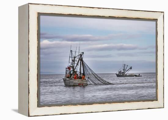 USA, Alaska, Kodiak, Chiniak Bay. Commercial fishing for salmon.-Frank Zurey-Framed Premier Image Canvas