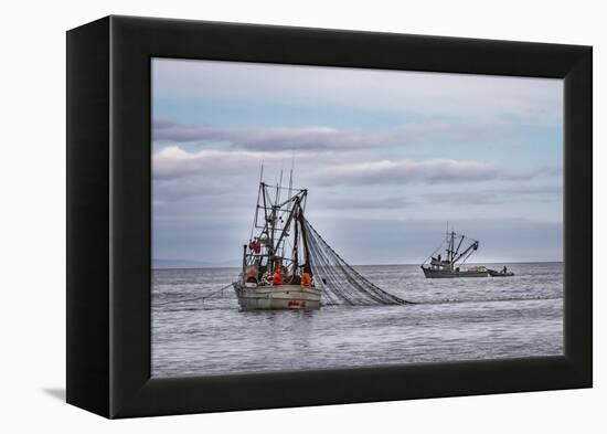 USA, Alaska, Kodiak, Chiniak Bay. Commercial fishing for salmon.-Frank Zurey-Framed Premier Image Canvas