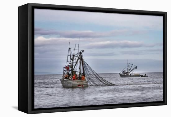 USA, Alaska, Kodiak, Chiniak Bay. Commercial fishing for salmon.-Frank Zurey-Framed Premier Image Canvas