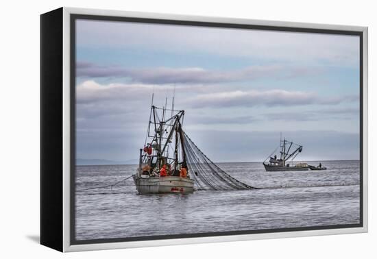 USA, Alaska, Kodiak, Chiniak Bay. Commercial fishing for salmon.-Frank Zurey-Framed Premier Image Canvas