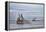 USA, Alaska, Kodiak, Chiniak Bay. Commercial fishing for salmon.-Frank Zurey-Framed Premier Image Canvas