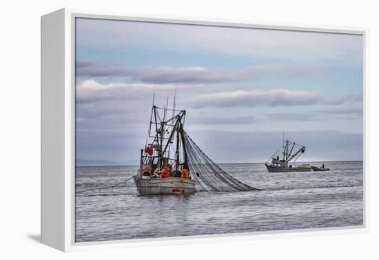 USA, Alaska, Kodiak, Chiniak Bay. Commercial fishing for salmon.-Frank Zurey-Framed Premier Image Canvas