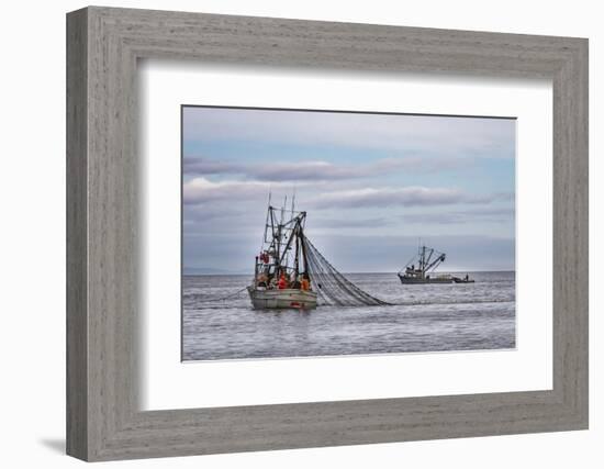 USA, Alaska, Kodiak, Chiniak Bay. Commercial fishing for salmon.-Frank Zurey-Framed Photographic Print