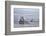 USA, Alaska, Kodiak, Chiniak Bay. Commercial fishing for salmon.-Frank Zurey-Framed Photographic Print