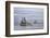 USA, Alaska, Kodiak, Chiniak Bay. Commercial fishing for salmon.-Frank Zurey-Framed Photographic Print