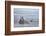 USA, Alaska, Kodiak, Chiniak Bay. Commercial fishing for salmon.-Frank Zurey-Framed Photographic Print