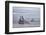 USA, Alaska, Kodiak, Chiniak Bay. Commercial fishing for salmon.-Frank Zurey-Framed Photographic Print