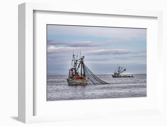 USA, Alaska, Kodiak, Chiniak Bay. Commercial fishing for salmon.-Frank Zurey-Framed Photographic Print