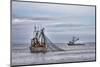 USA, Alaska, Kodiak, Chiniak Bay. Commercial fishing for salmon.-Frank Zurey-Mounted Photographic Print
