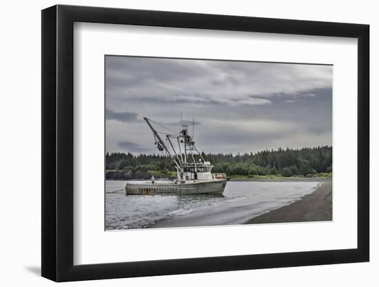 USA, Alaska, Kodiak, Chiniak Bay. Commercial fishing for salmon.-Frank Zurey-Framed Photographic Print