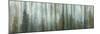 USA, Alaska, Misty Fiords National Monument. Panoramic collage of paint-splattered curtain.-Jaynes Gallery-Mounted Photographic Print