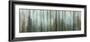 USA, Alaska, Misty Fiords National Monument. Panoramic collage of paint-splattered curtain.-Jaynes Gallery-Framed Photographic Print