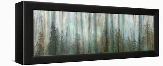 USA, Alaska, Misty Fiords National Monument. Panoramic collage of paint-splattered curtain.-Jaynes Gallery-Framed Premier Image Canvas