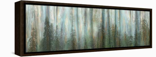 USA, Alaska, Misty Fiords National Monument. Panoramic collage of paint-splattered curtain.-Jaynes Gallery-Framed Premier Image Canvas