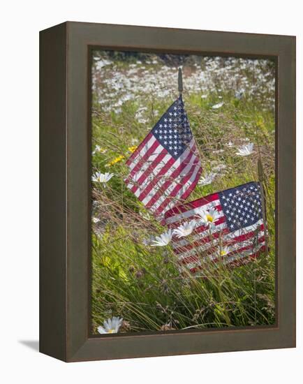 USA, Alaska, Ninilchik. US flags in American Legion Cemetery.-Jaynes Gallery-Framed Premier Image Canvas