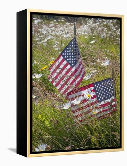 USA, Alaska, Ninilchik. US flags in American Legion Cemetery.-Jaynes Gallery-Framed Premier Image Canvas